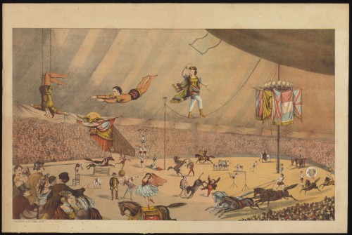 Circus