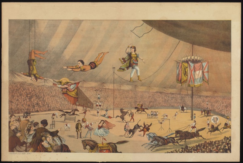 Circus